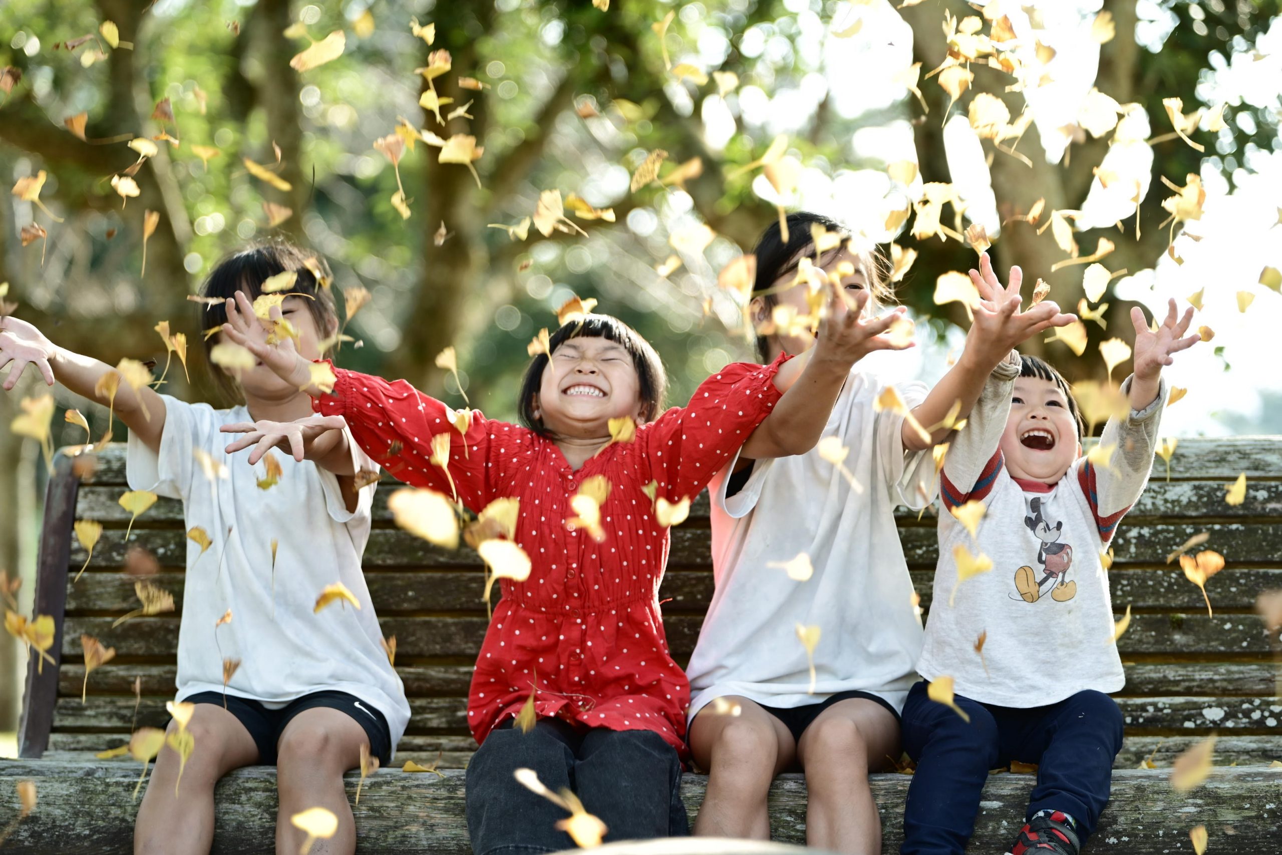 舞うイチョウときらめく笑顔